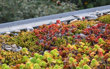 the cost of Weston Village green roof installation