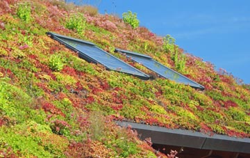 Weston Village living roof systems