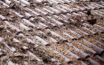 Weston Village roof cleaning companies